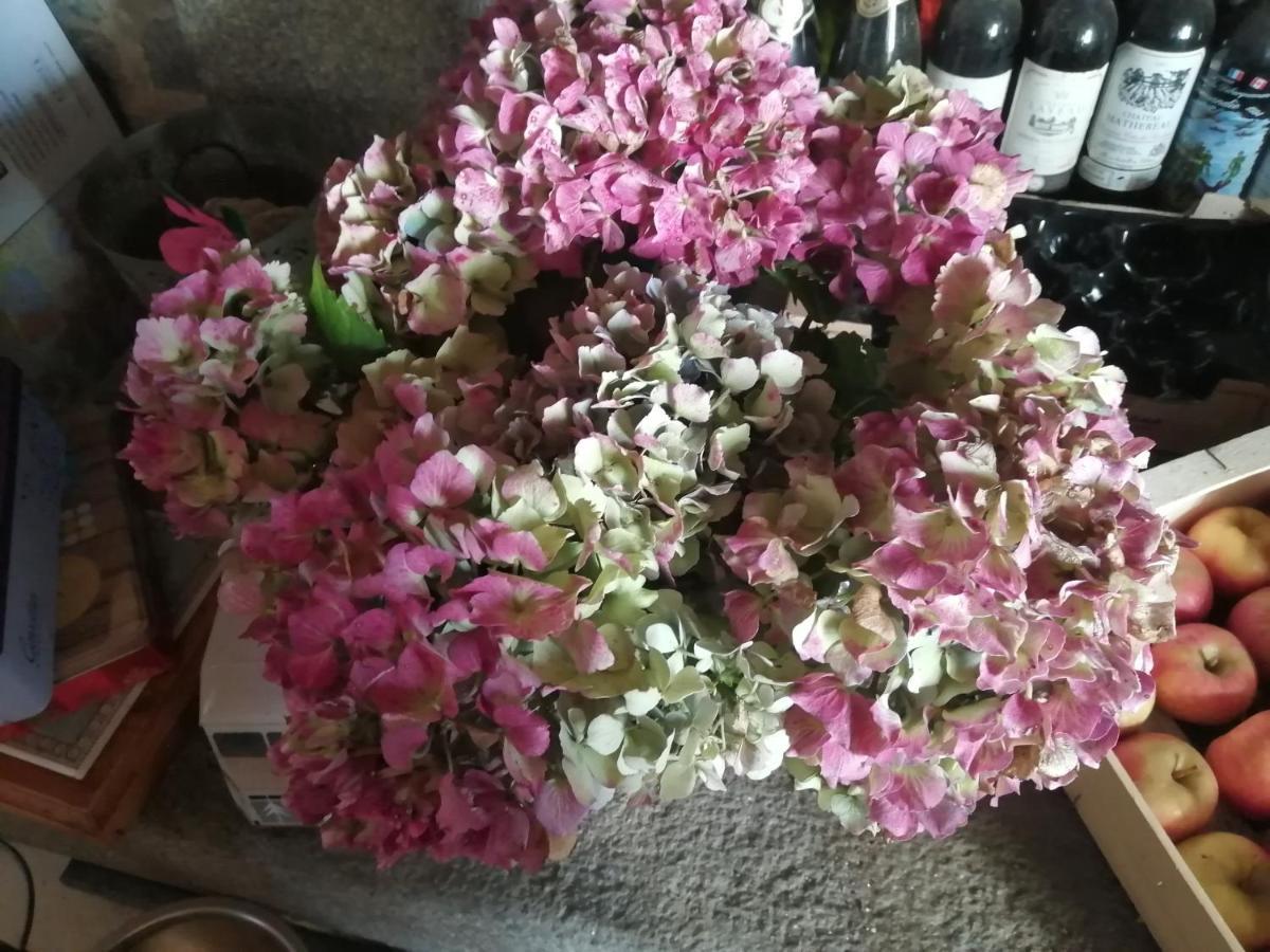 Gite Hydrangea Lanhelin Exteriör bild